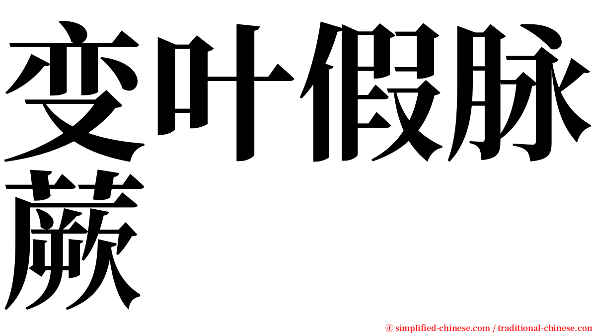 变叶假脉蕨 serif font