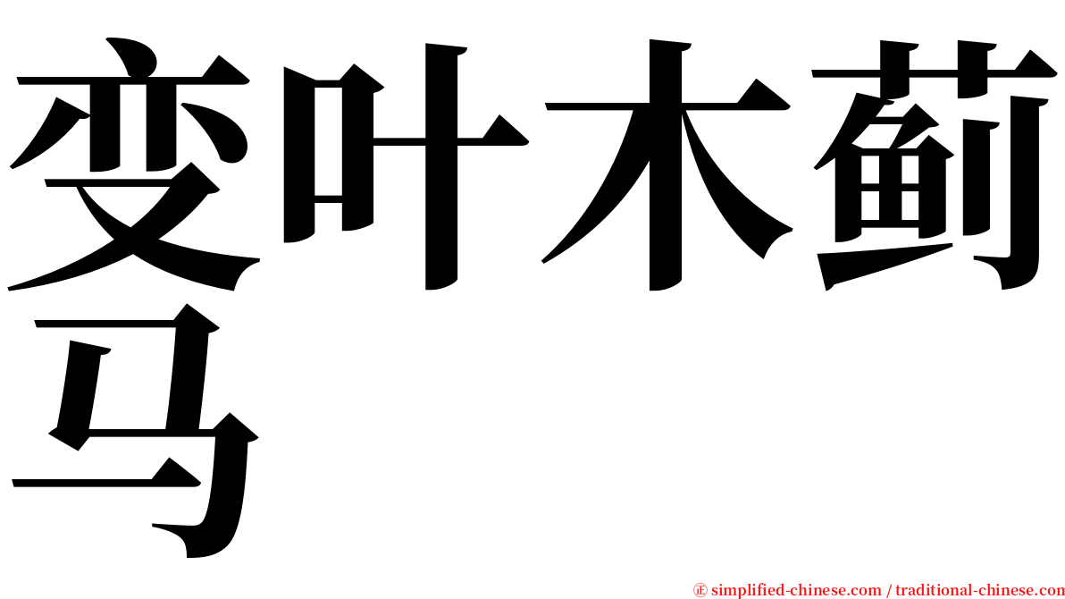 变叶木蓟马 serif font