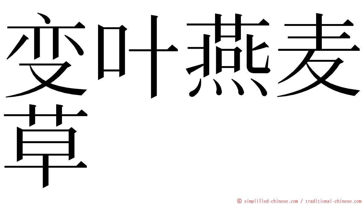 变叶燕麦草 ming font