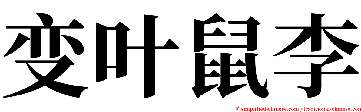 变叶鼠李 serif font