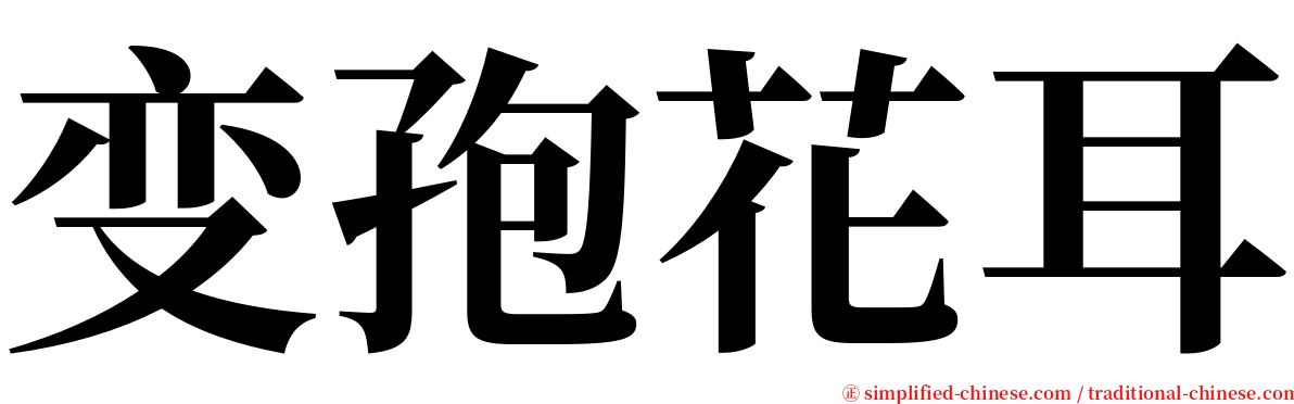 变孢花耳 serif font