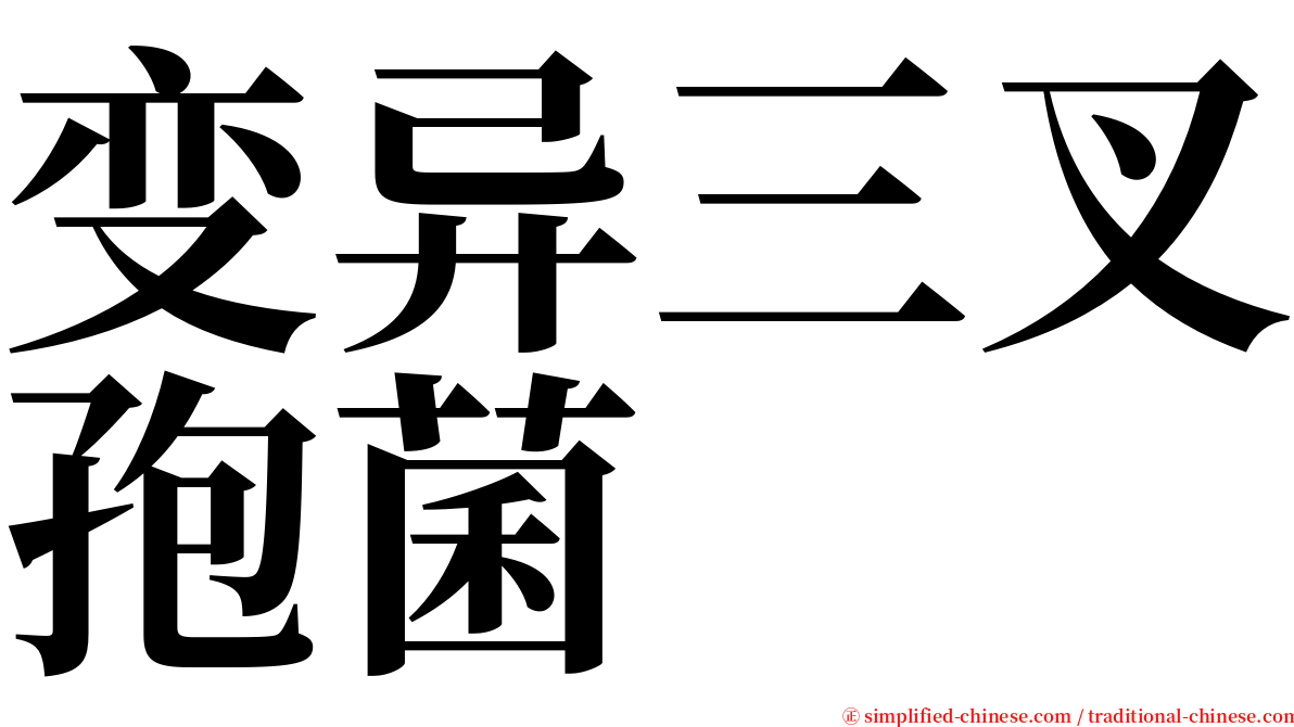 变异三叉孢菌 serif font