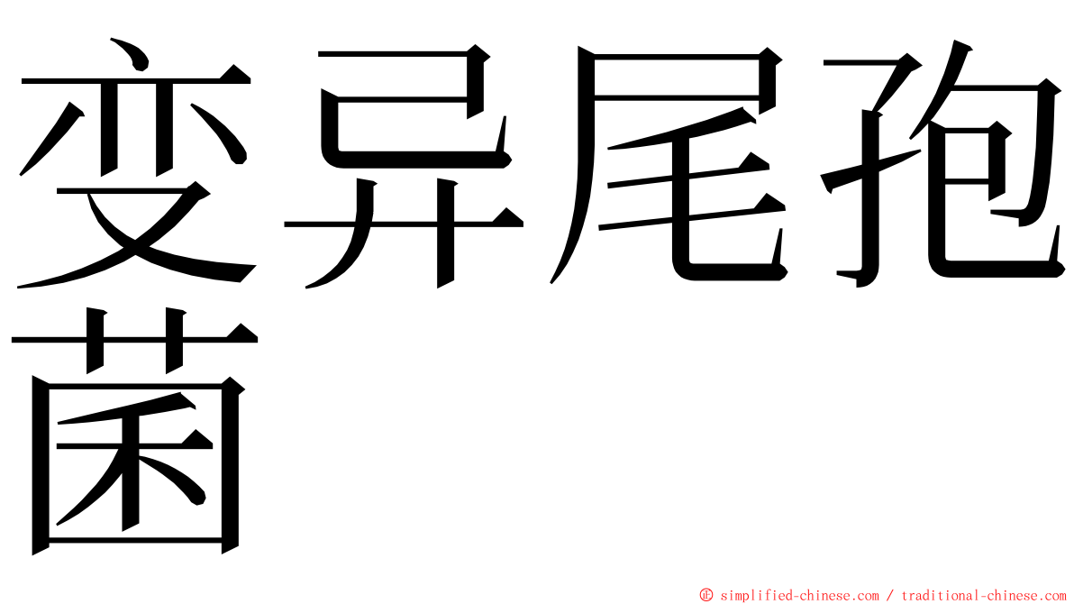 变异尾孢菌 ming font