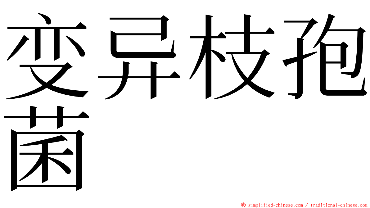 变异枝孢菌 ming font