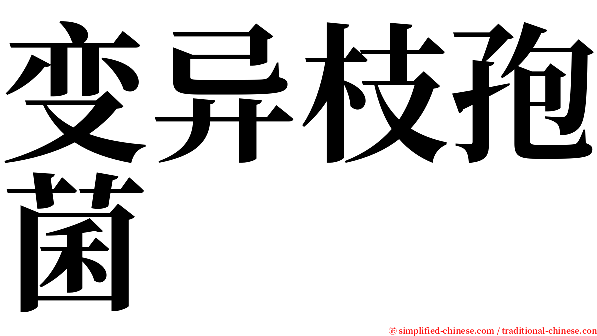 变异枝孢菌 serif font