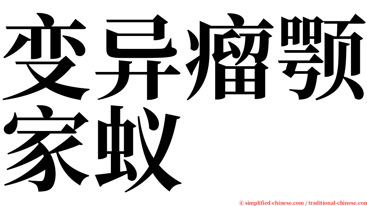 变异瘤颚家蚁 serif font