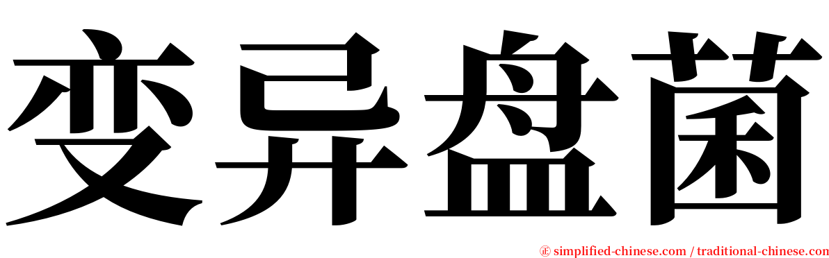 变异盘菌 serif font