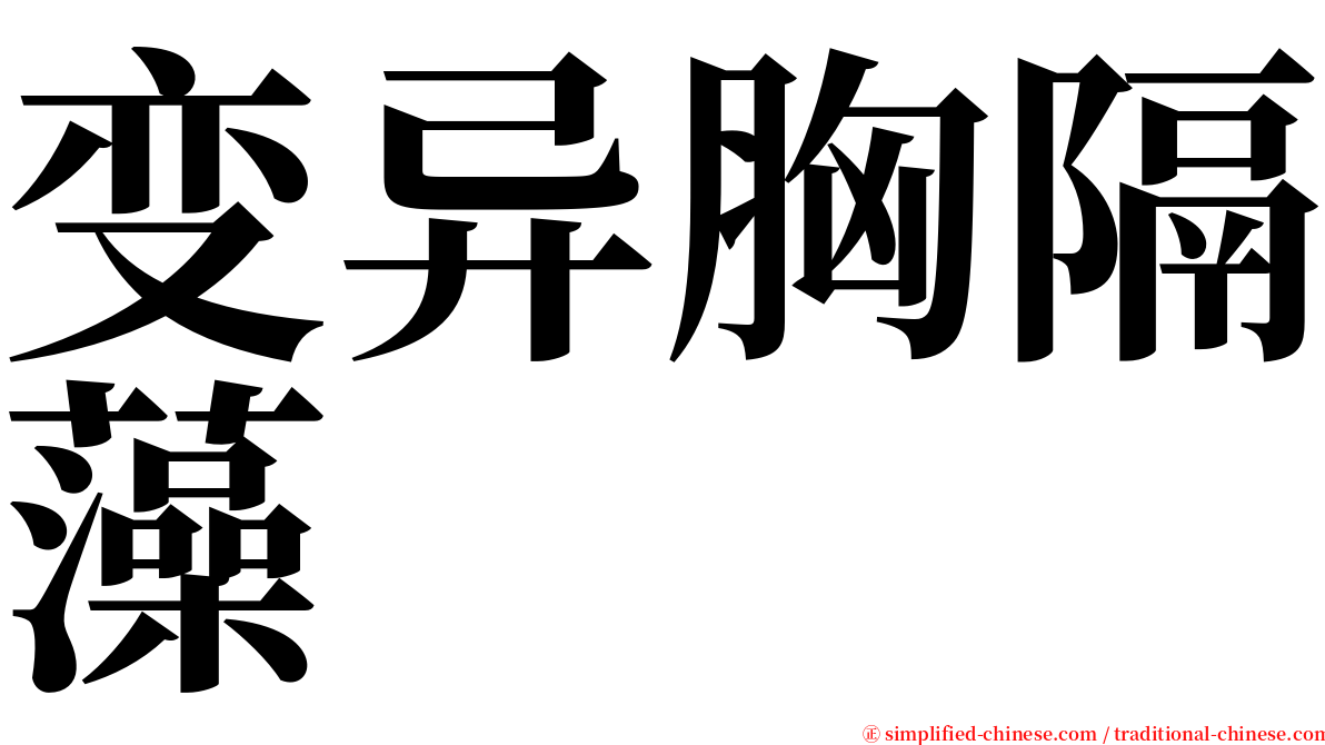 变异胸隔藻 serif font