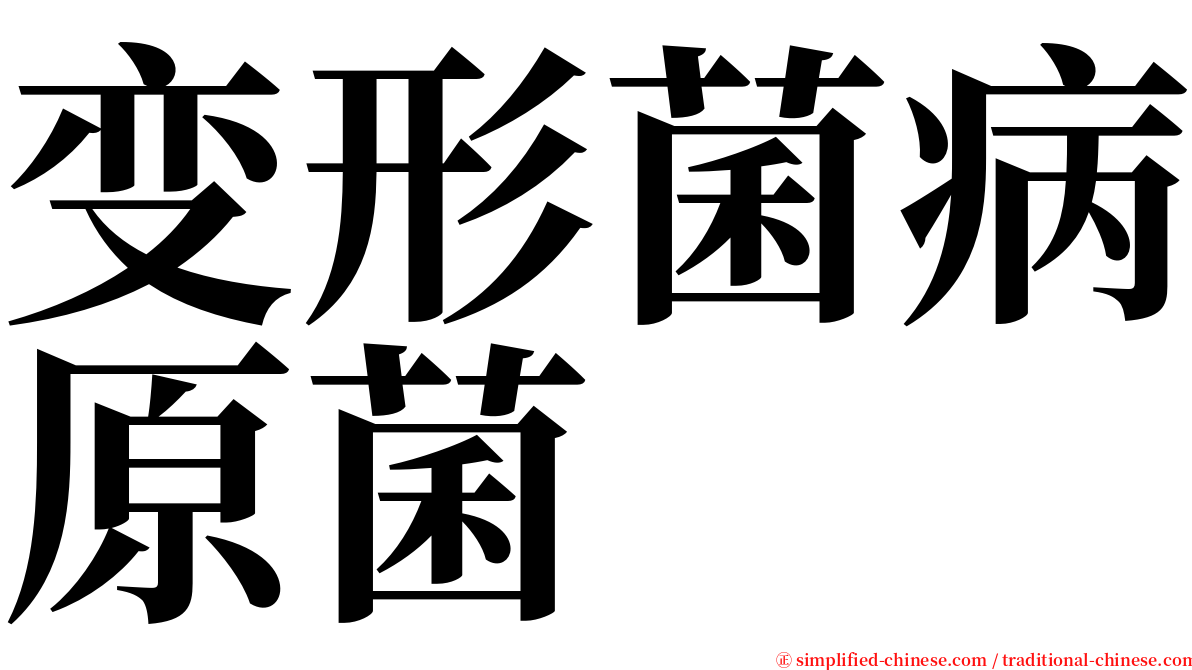 变形菌病原菌 serif font