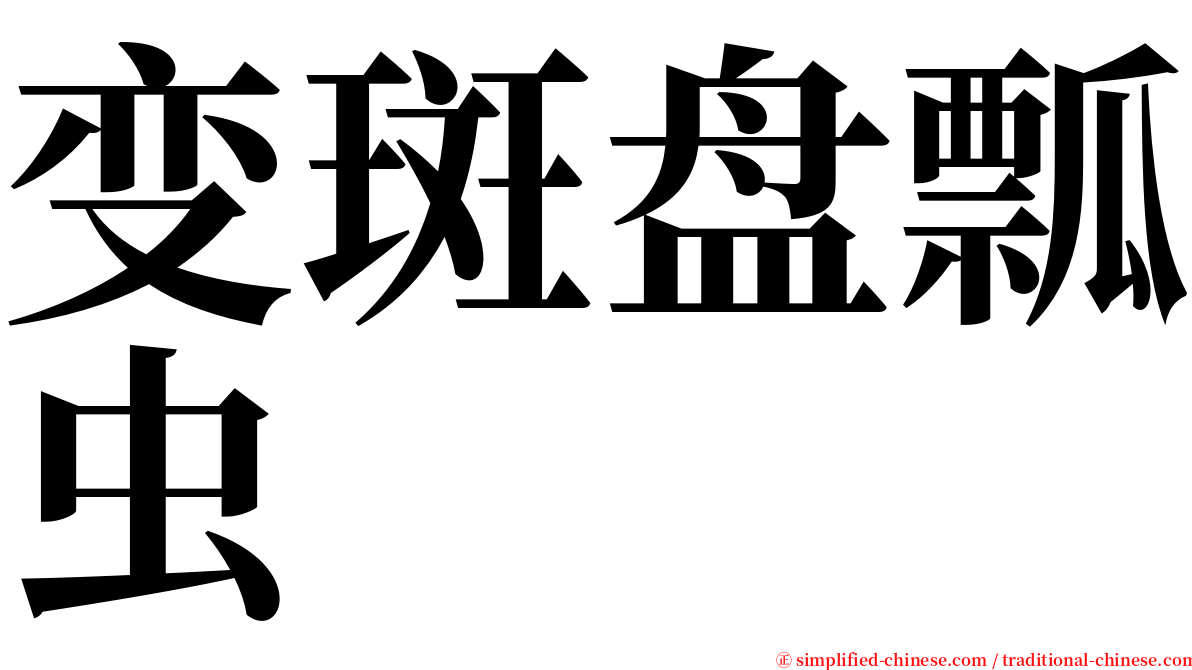 变斑盘瓢虫 serif font