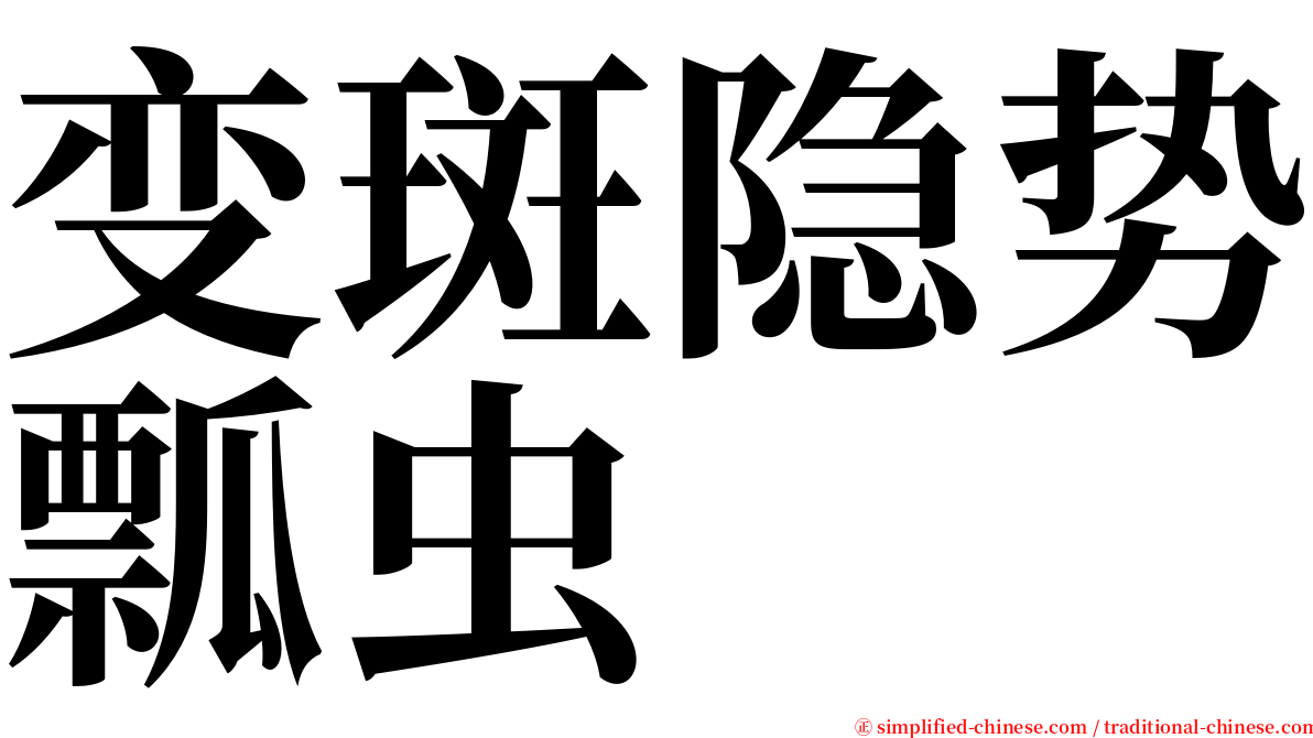 变斑隐势瓢虫 serif font