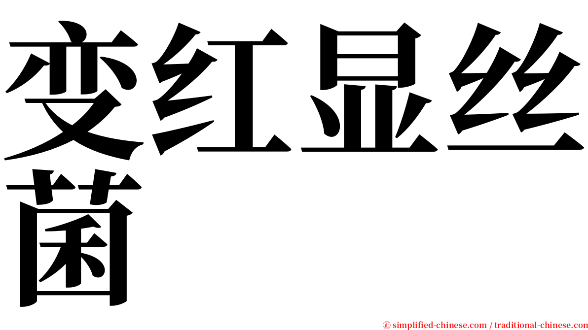 变红显丝菌 serif font