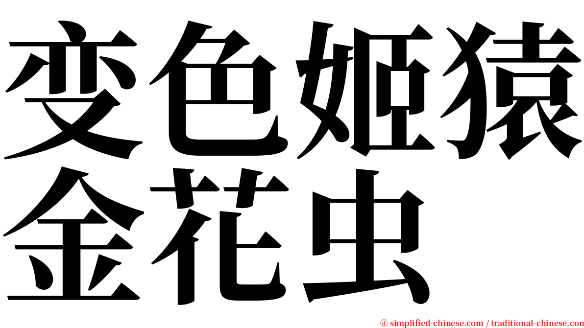 变色姬猿金花虫 serif font