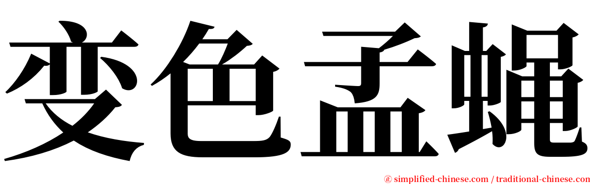 变色孟蝇 serif font