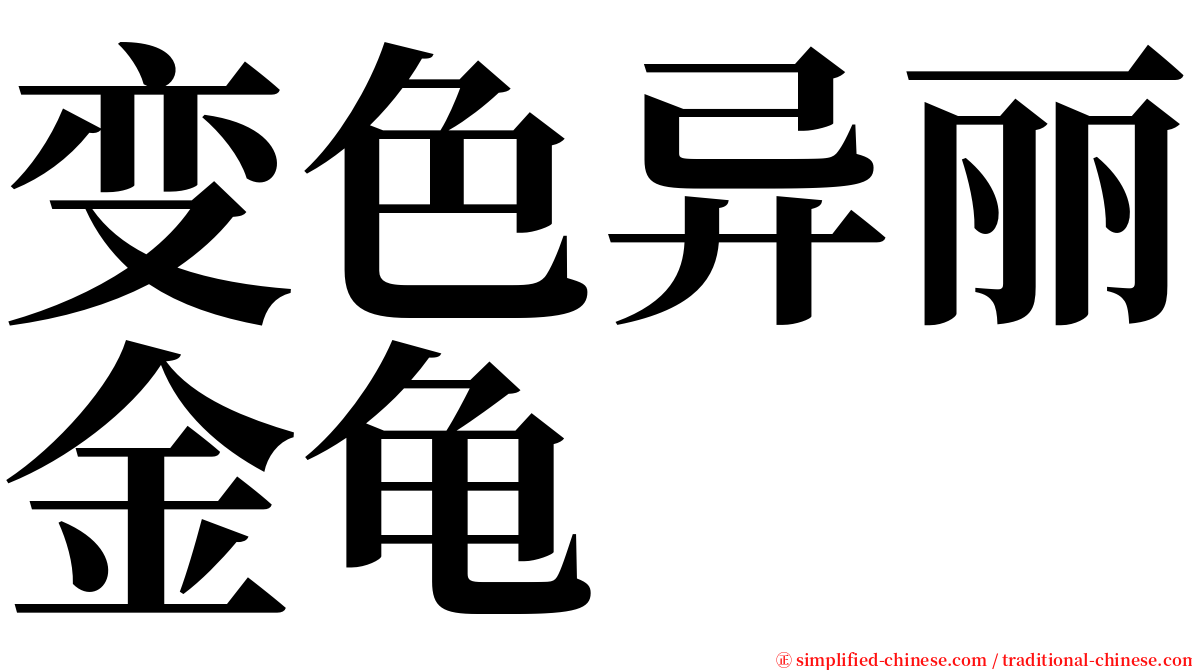 变色异丽金龟 serif font