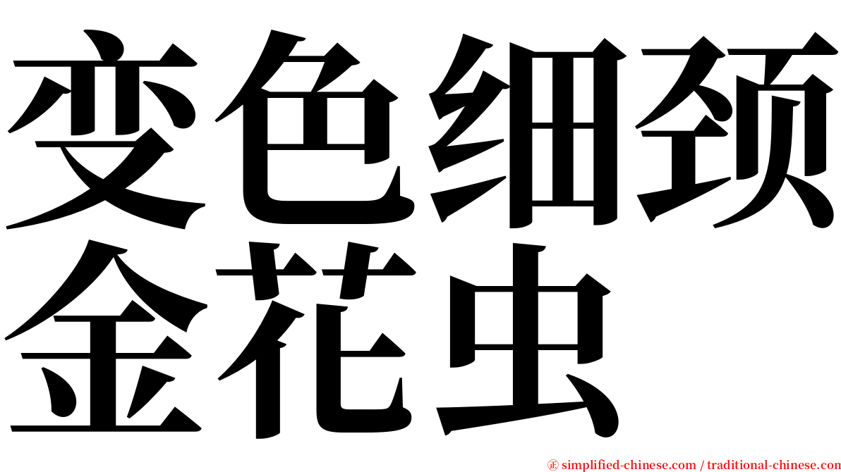 变色细颈金花虫 serif font