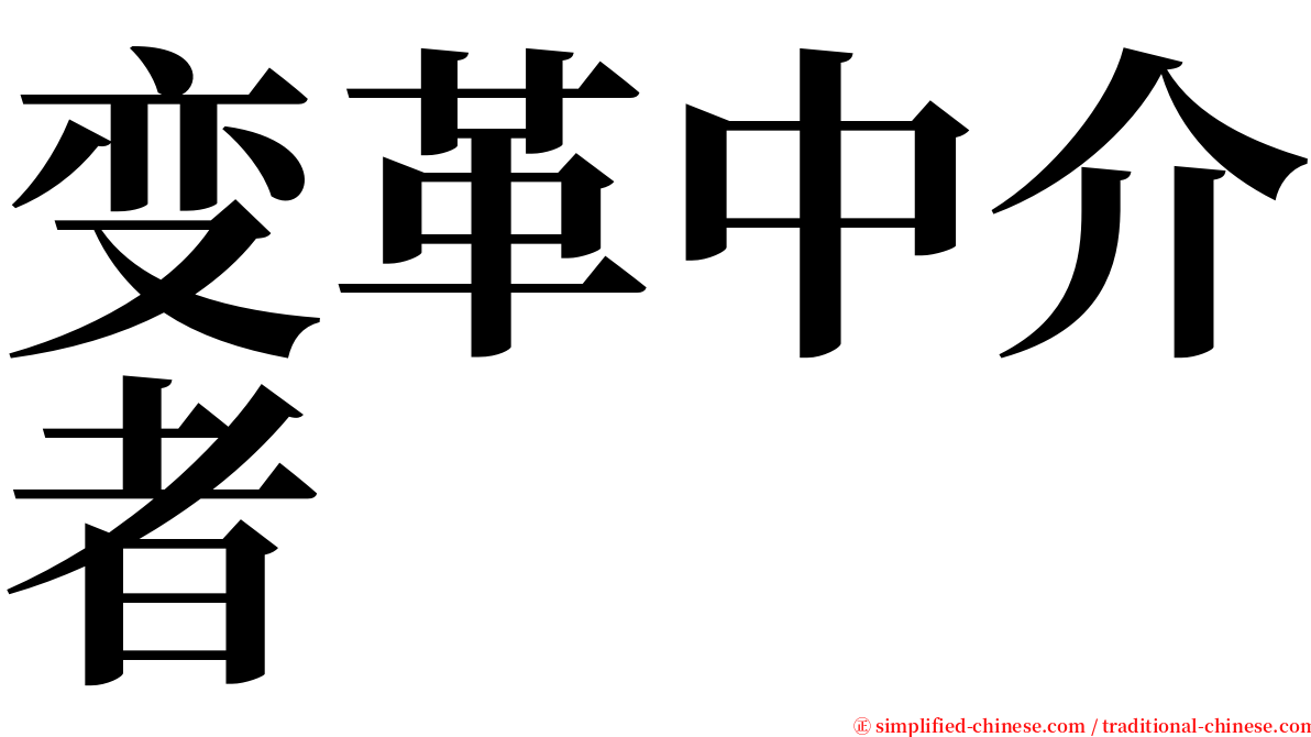 变革中介者 serif font