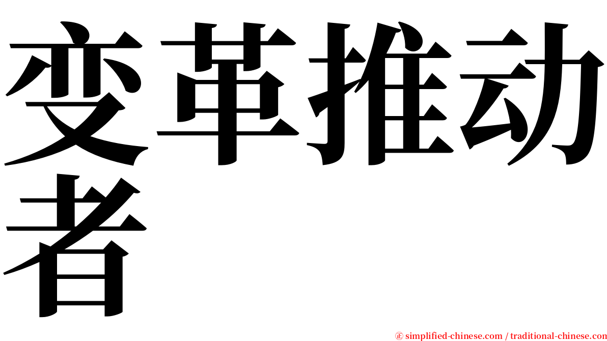 变革推动者 serif font