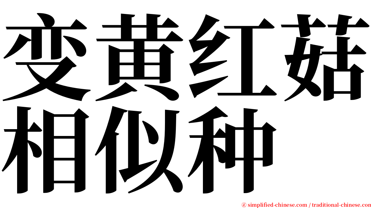 变黄红菇相似种 serif font