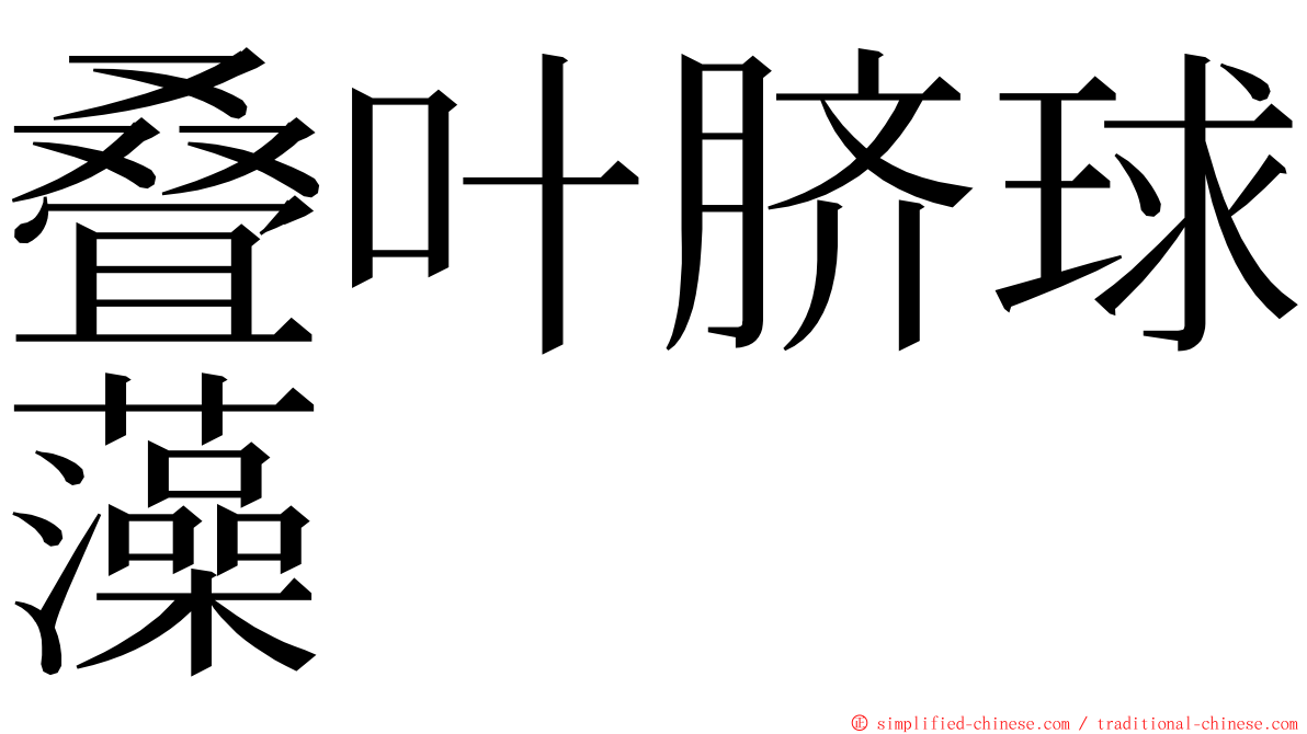 叠叶脐球藻 ming font