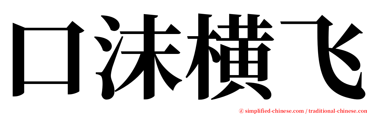 口沫横飞 serif font