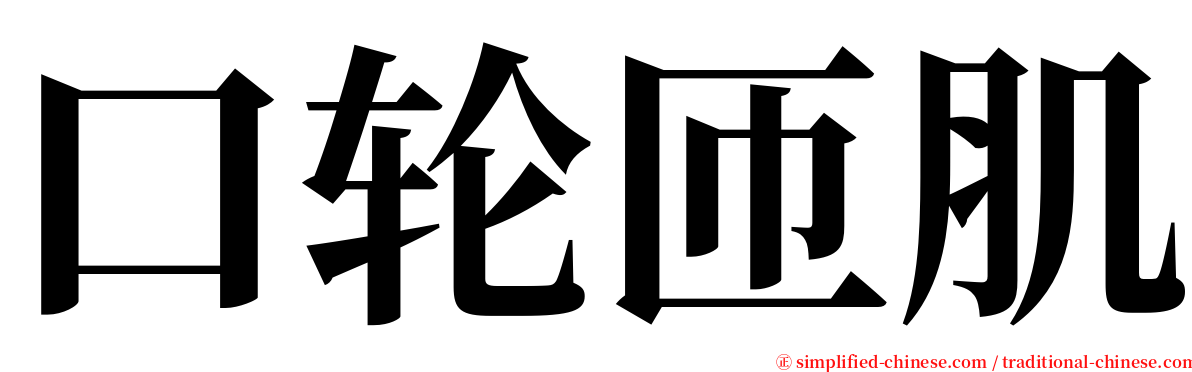 口轮匝肌 serif font