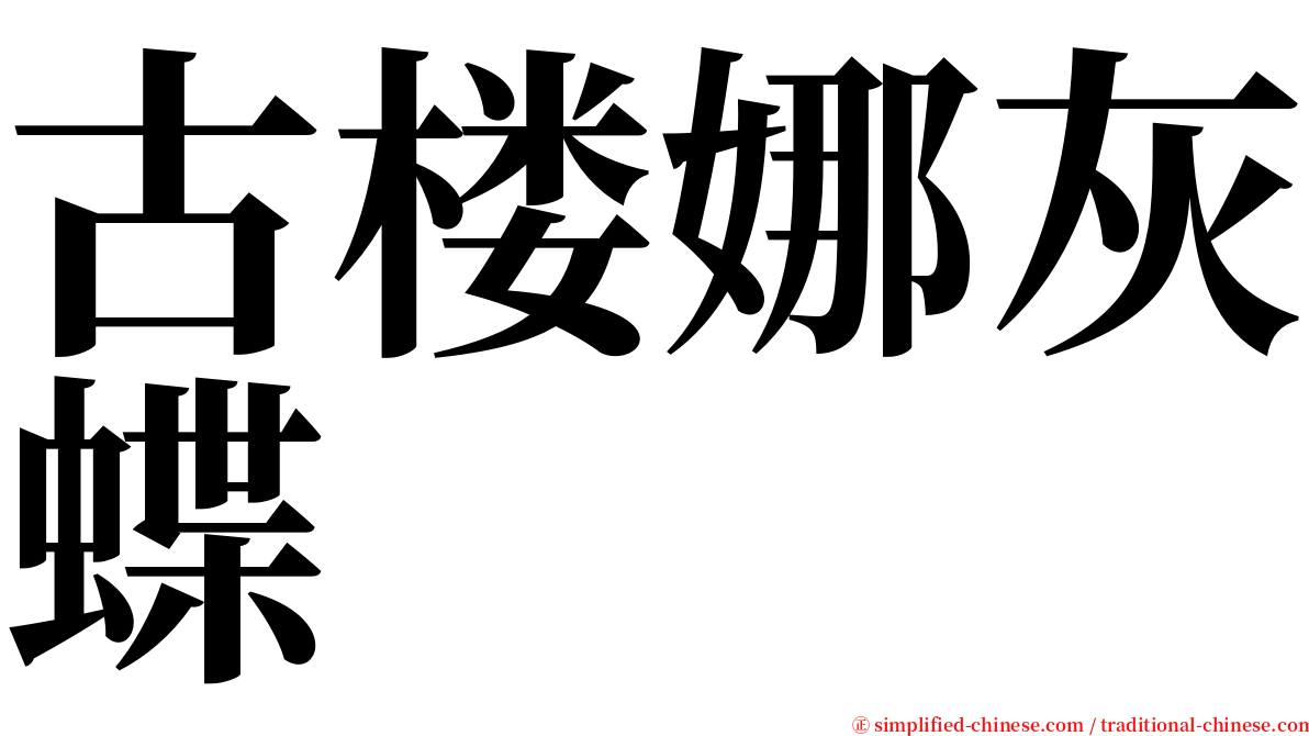 古楼娜灰蝶 serif font