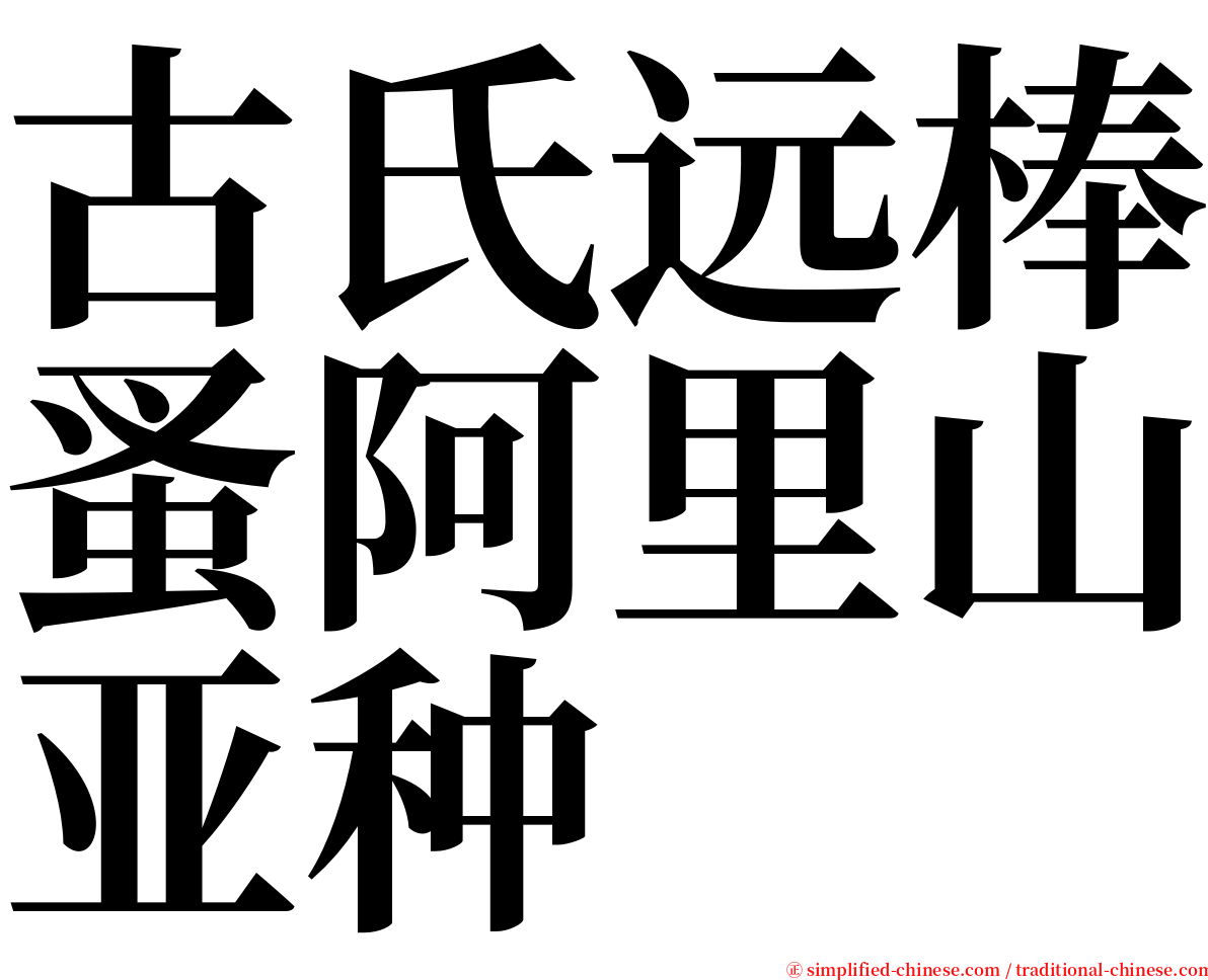 古氏远棒蚤阿里山亚种 serif font