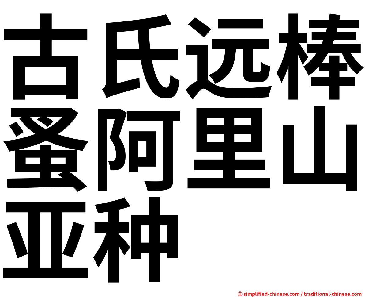 古氏远棒蚤阿里山亚种