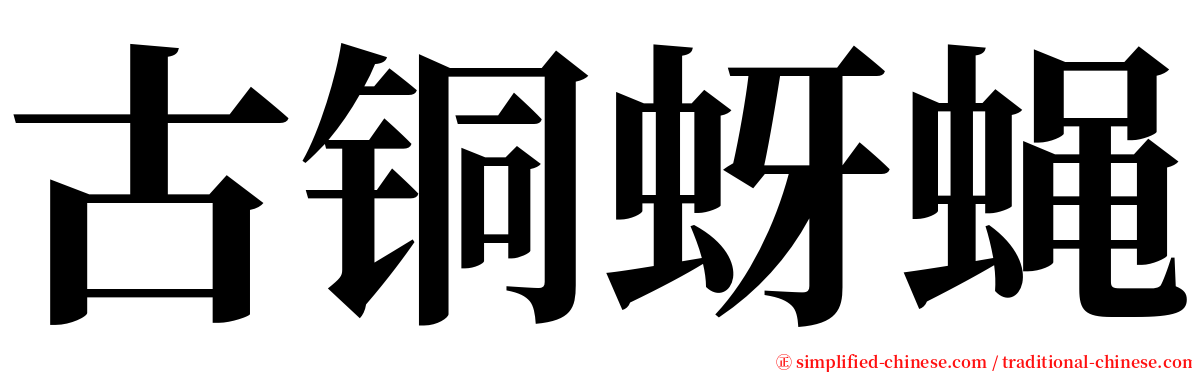 古铜蚜蝇 serif font