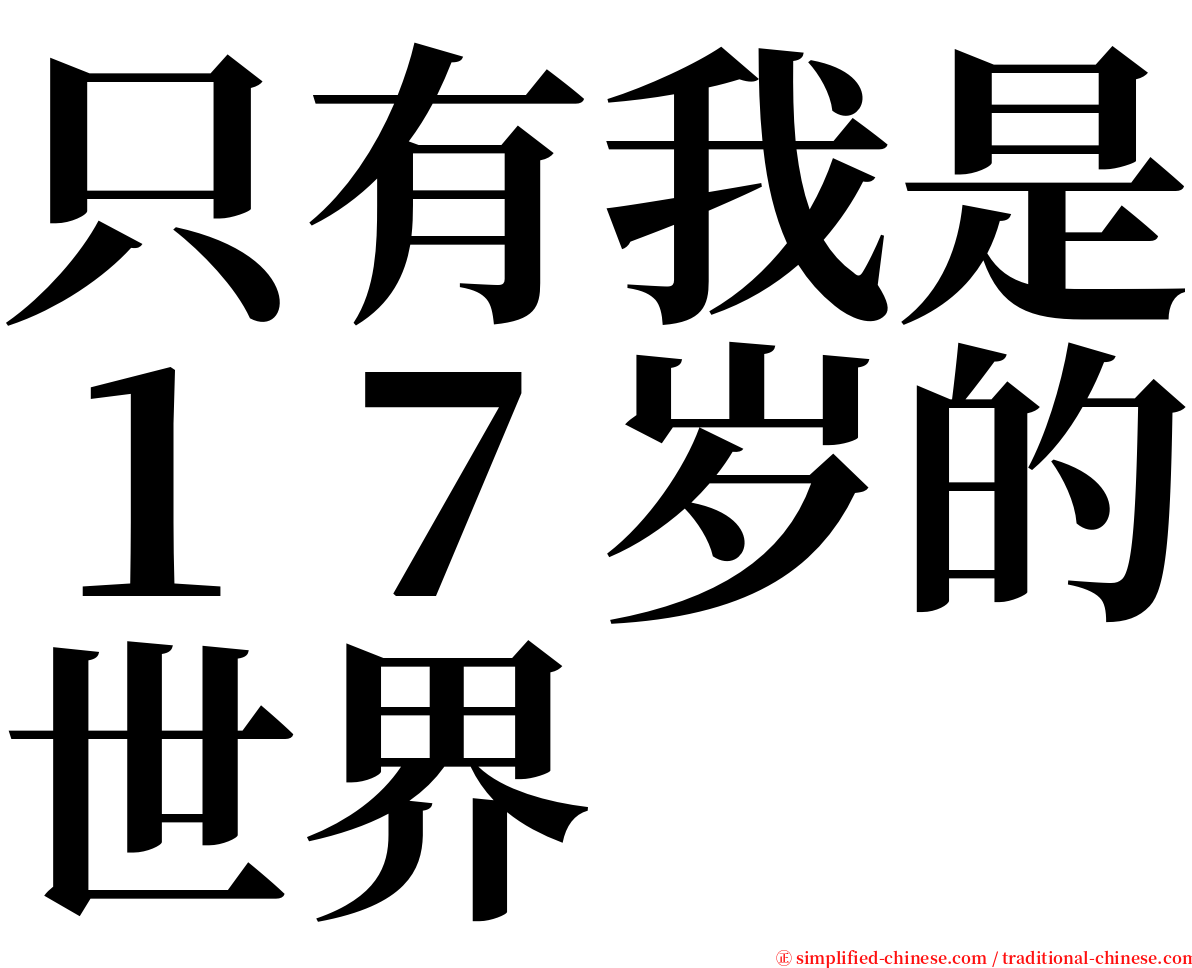 只有我是１７岁的世界 serif font