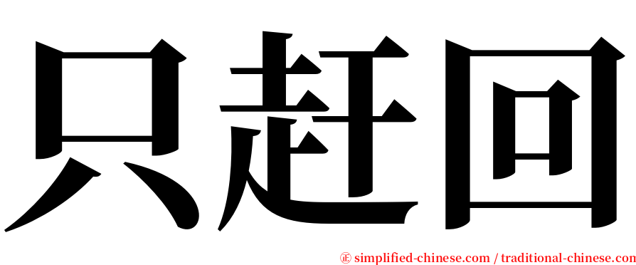 只赶回 serif font