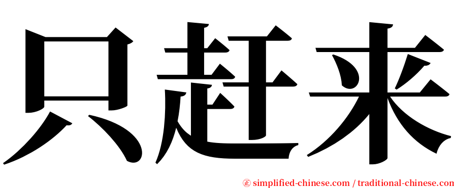 只赶来 serif font