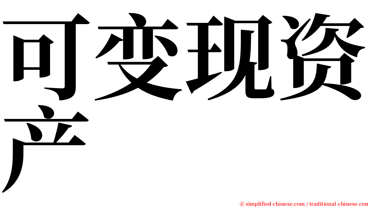 可变现资产 serif font