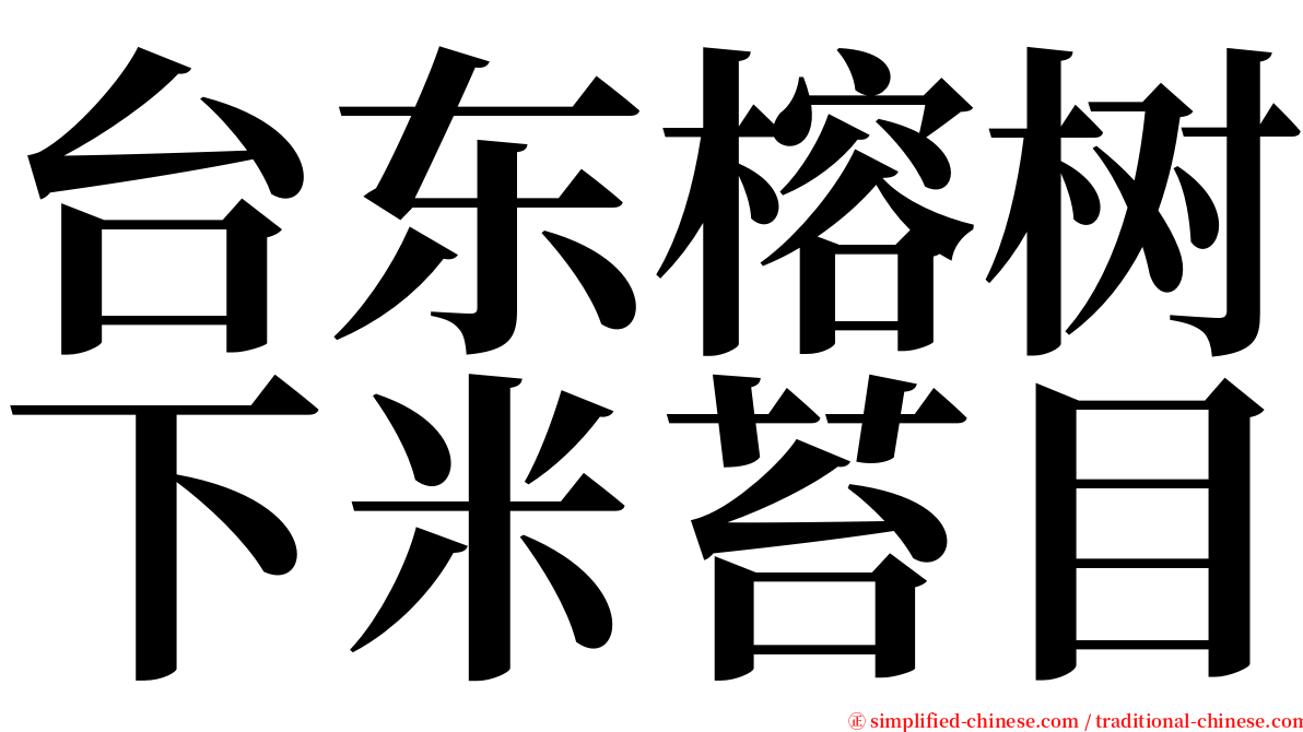 台东榕树下米苔目 serif font