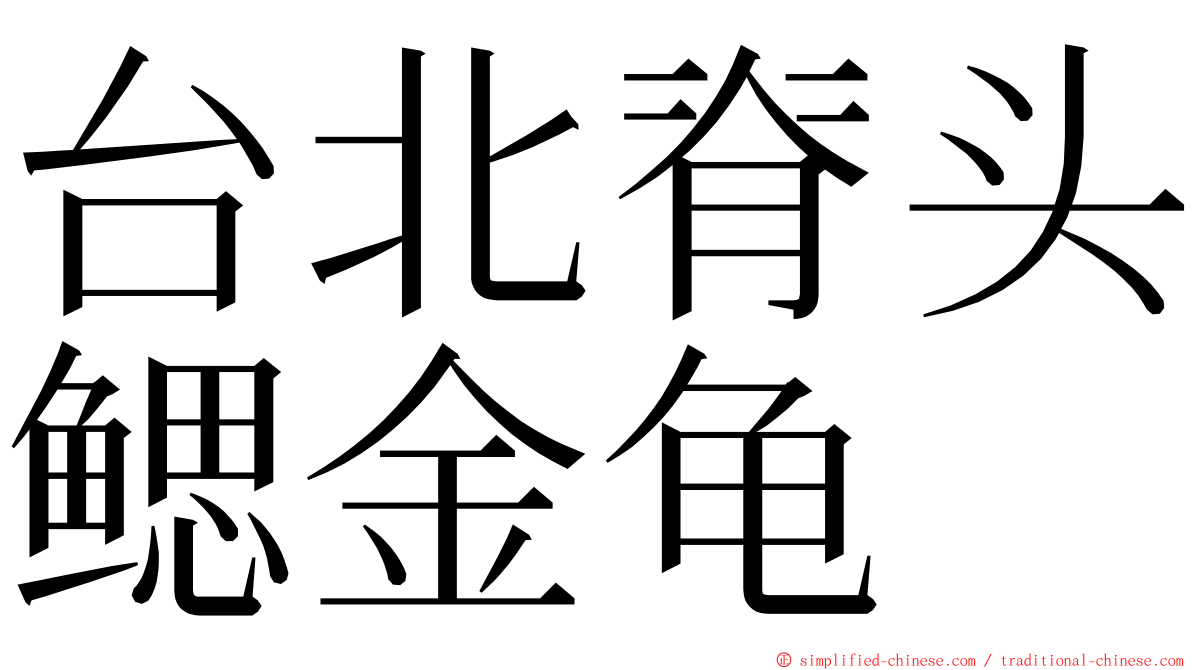 台北脊头鳃金龟 ming font