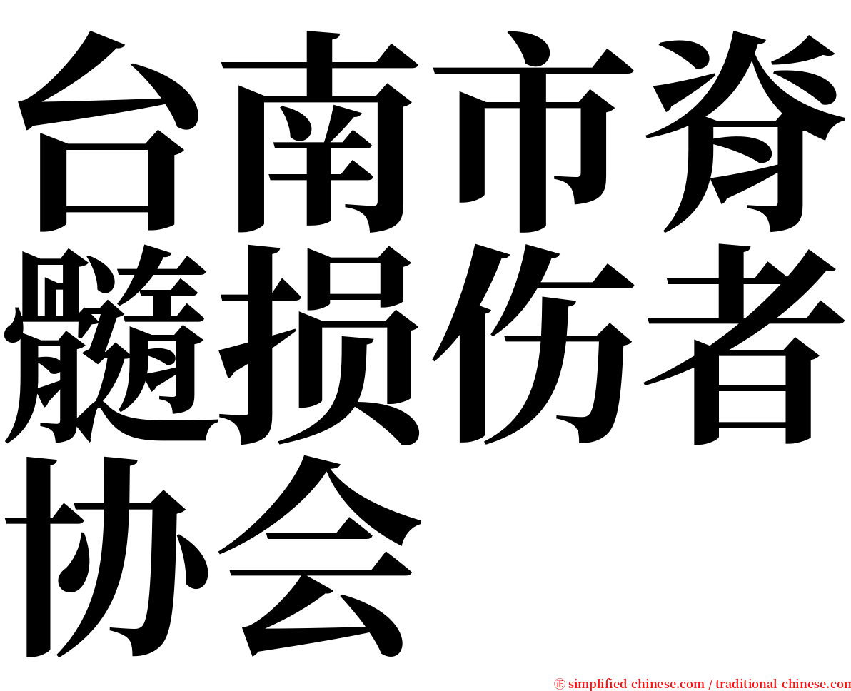 台南市脊髓损伤者协会 serif font