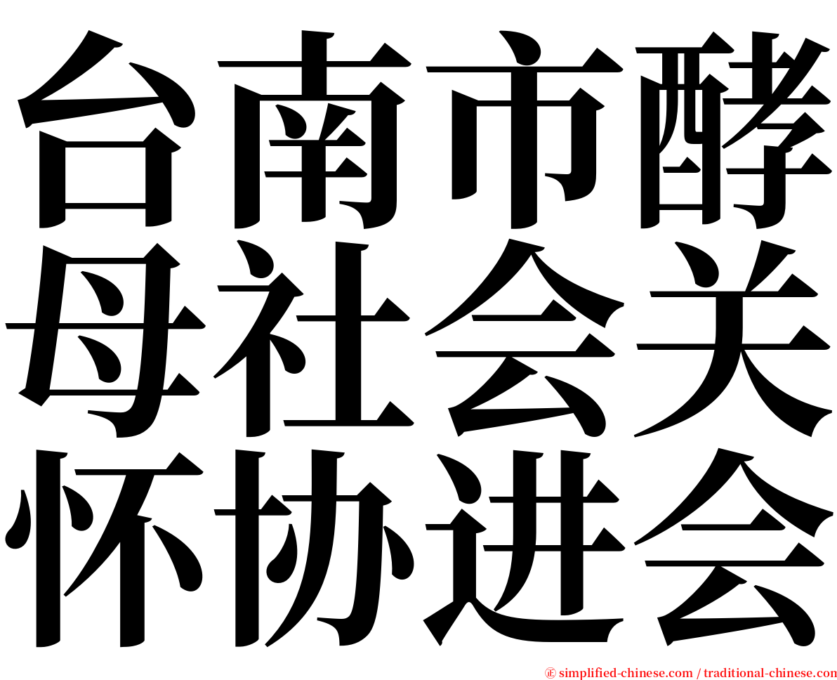 台南市酵母社会关怀协进会 serif font