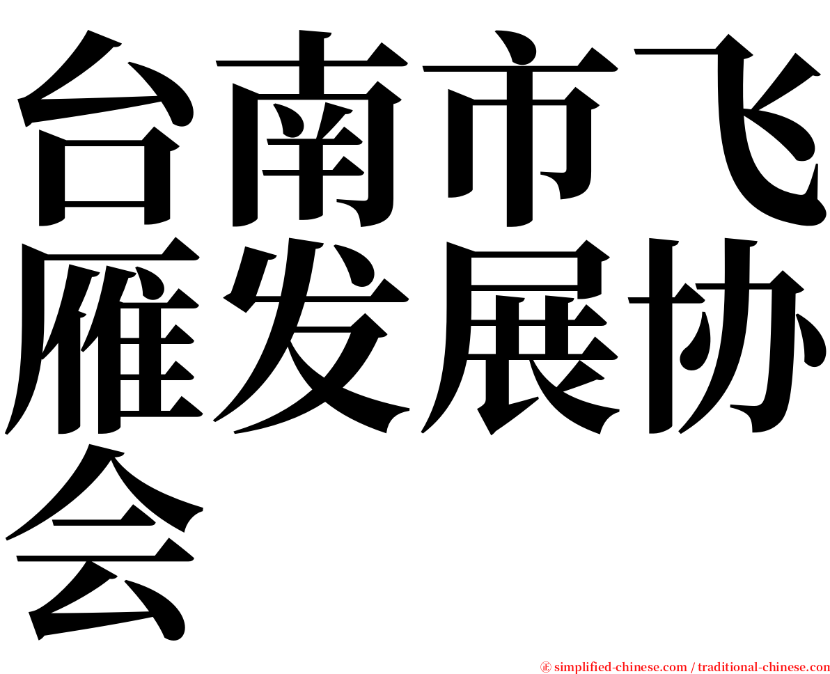 台南市飞雁发展协会 serif font
