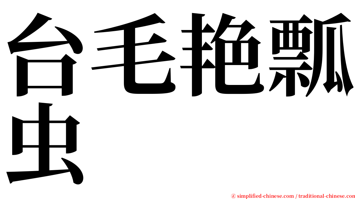台毛艳瓢虫 serif font