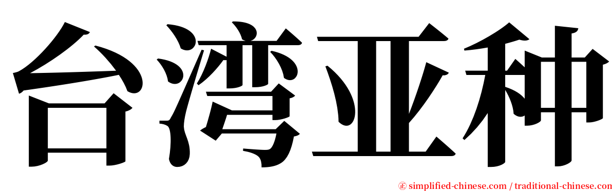 台湾亚种 serif font