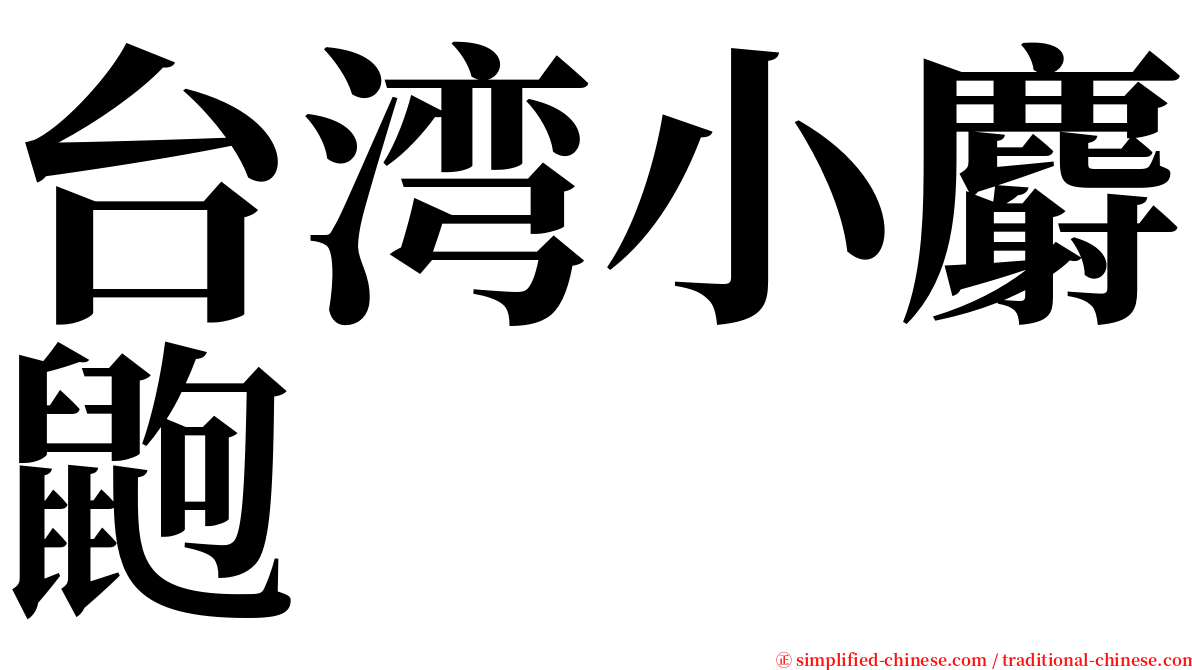 台湾小麝鼩 serif font