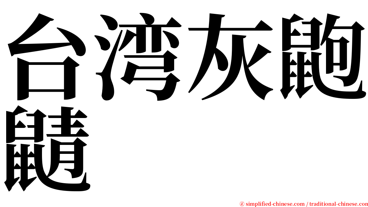 台湾灰鼩鼱 serif font