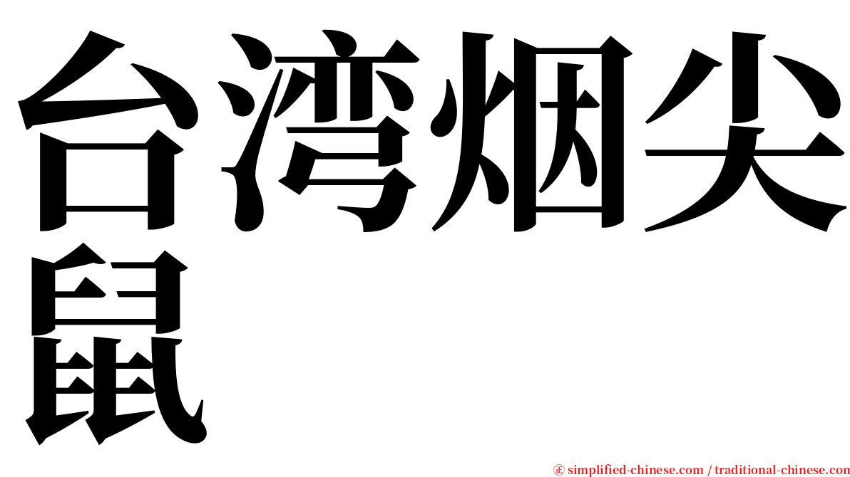 台湾烟尖鼠 serif font