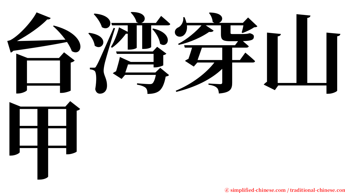 台湾穿山甲 serif font