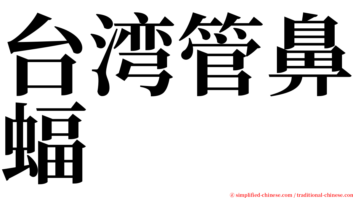 台湾管鼻蝠 serif font