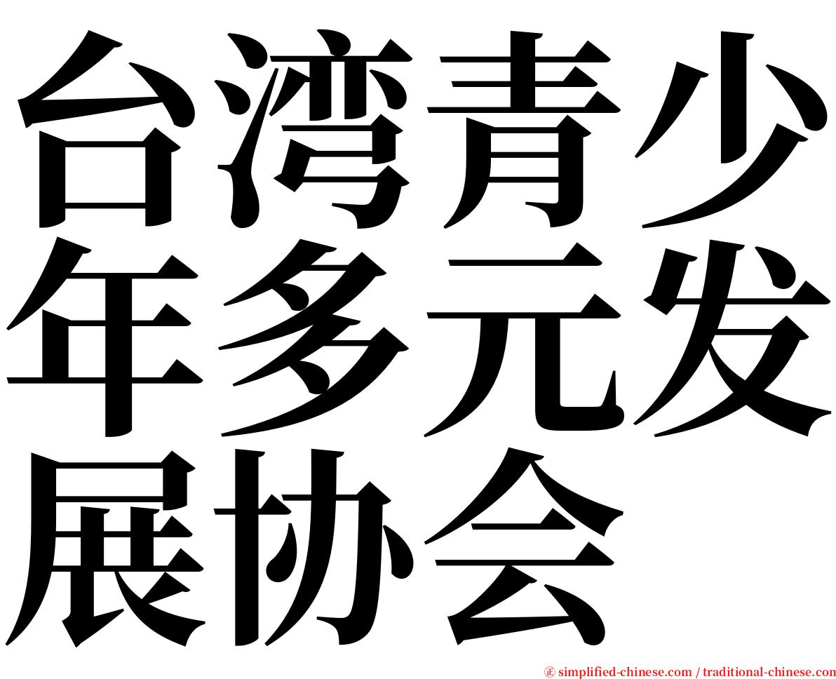 台湾青少年多元发展协会 serif font