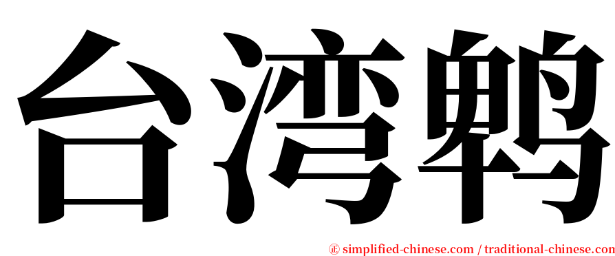 台湾鹎 serif font