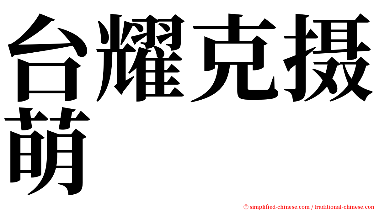 台耀克摄萌 serif font