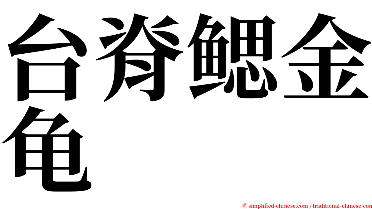 台脊鳃金龟 serif font